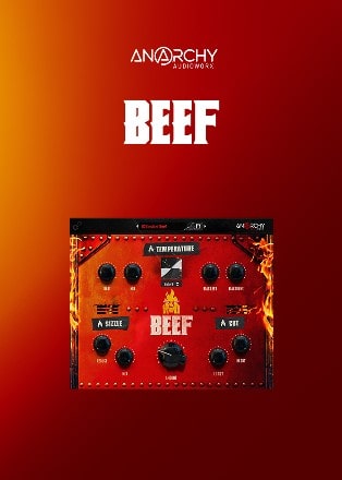 BEEF main media