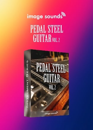 Pedal Steel Guitar 2 thumbnail 1
