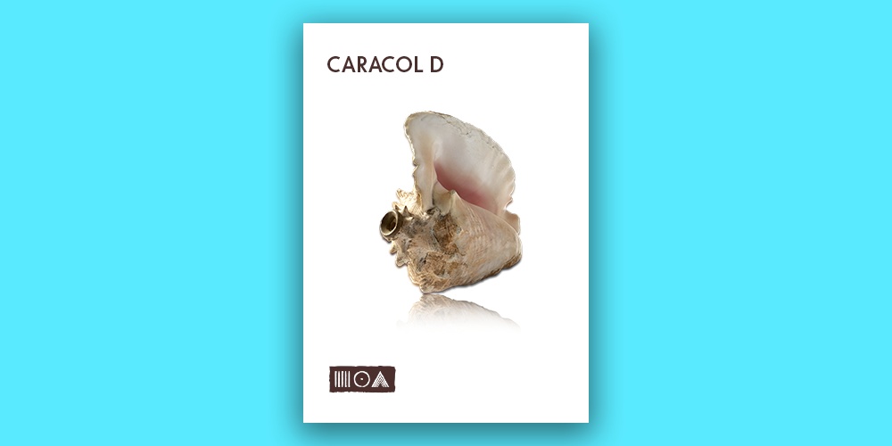 Caracol D# thumbnail 1