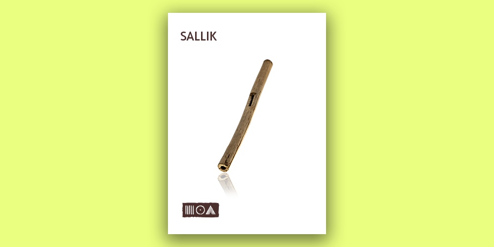 Sallik main media