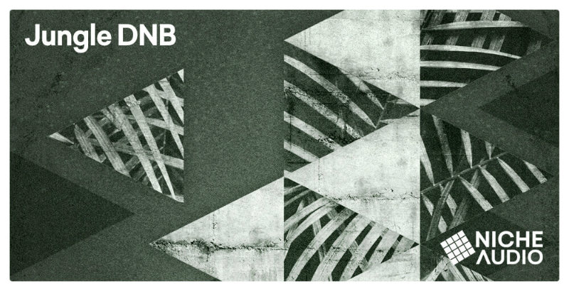 Jungle DNB main media