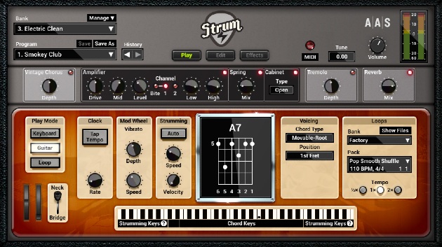 Strum GS-2 + PACKS Upgrade from Strum Session thumbnail 1
