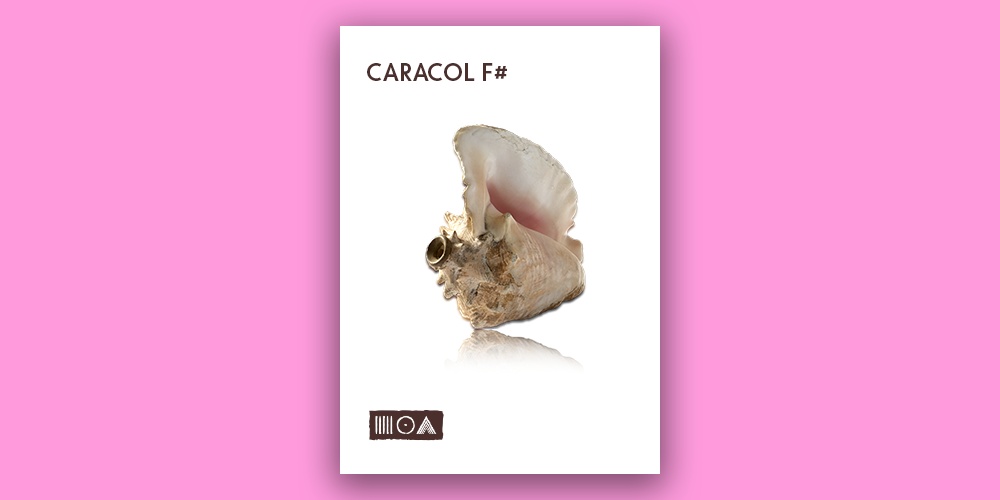 Caracol F# main media