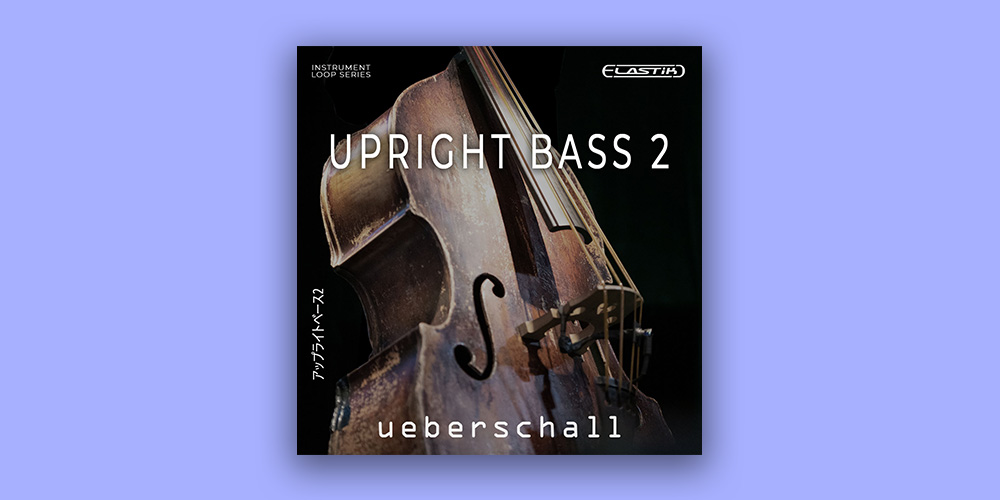 Upright Bass 2 main media