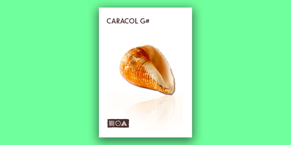 Caracol G# main media