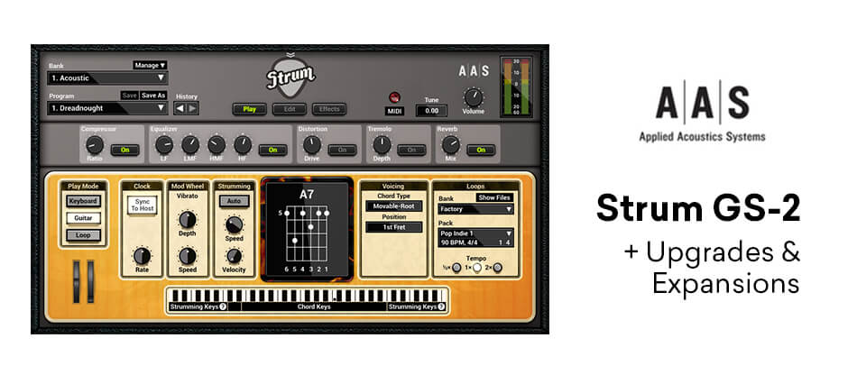 AAS Strum GS-2 main media