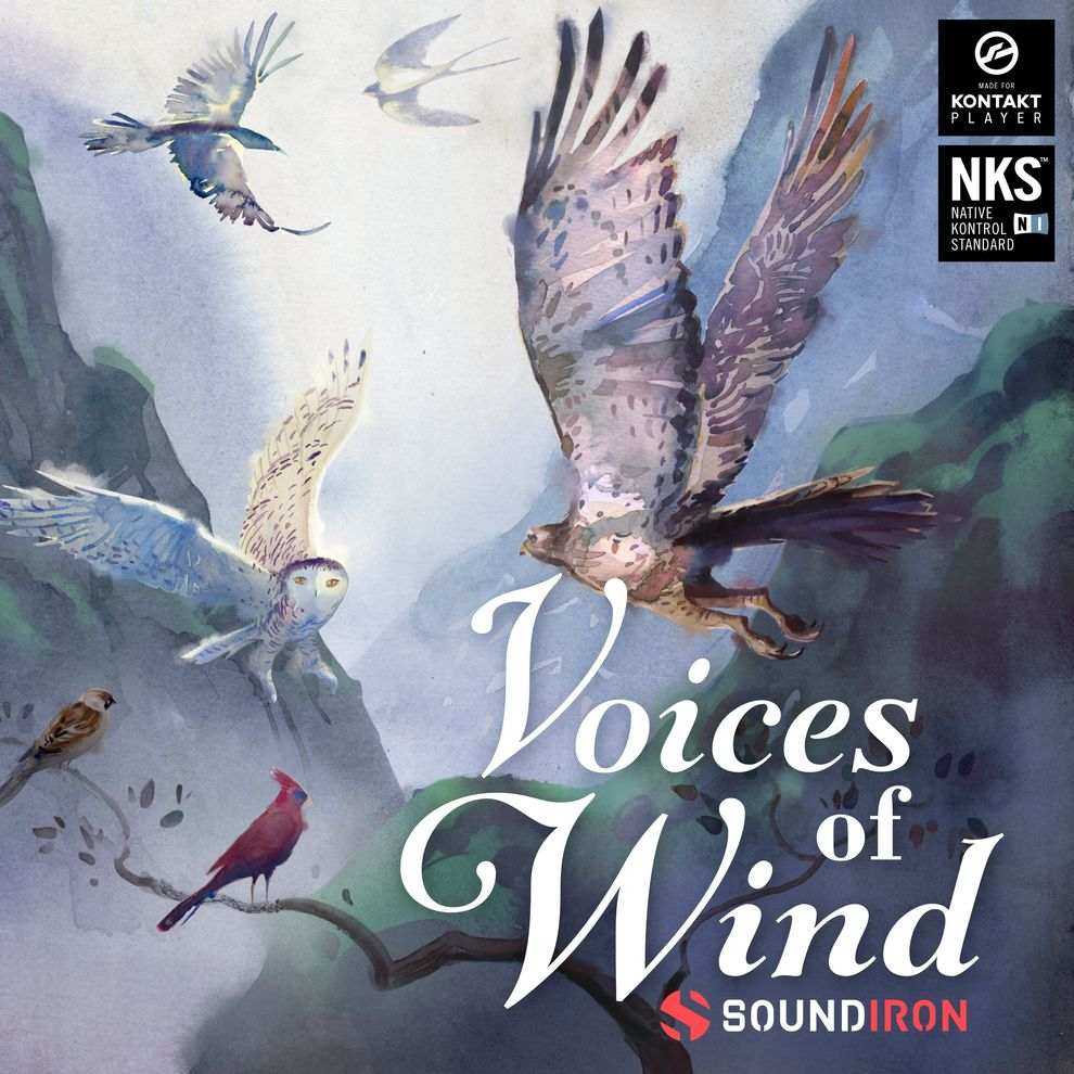 Voices of Wind Collection main media