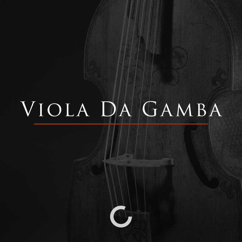 Viola Da Gamba main media