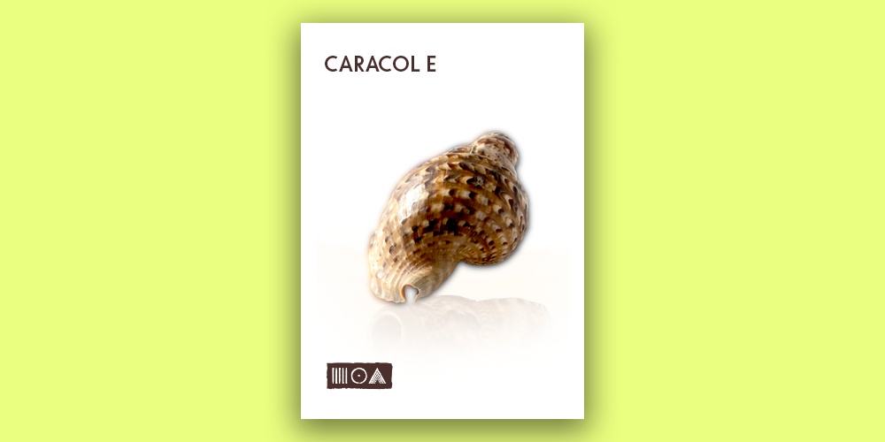 Caracol E main media