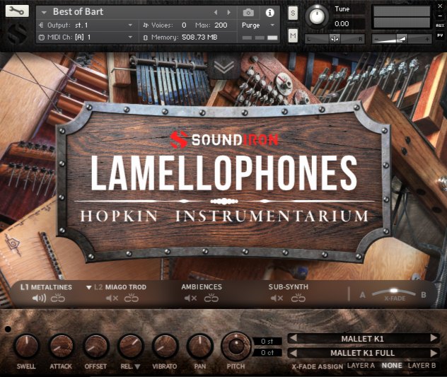 Lamellophones main media