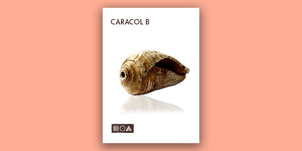 Caracol B main media
