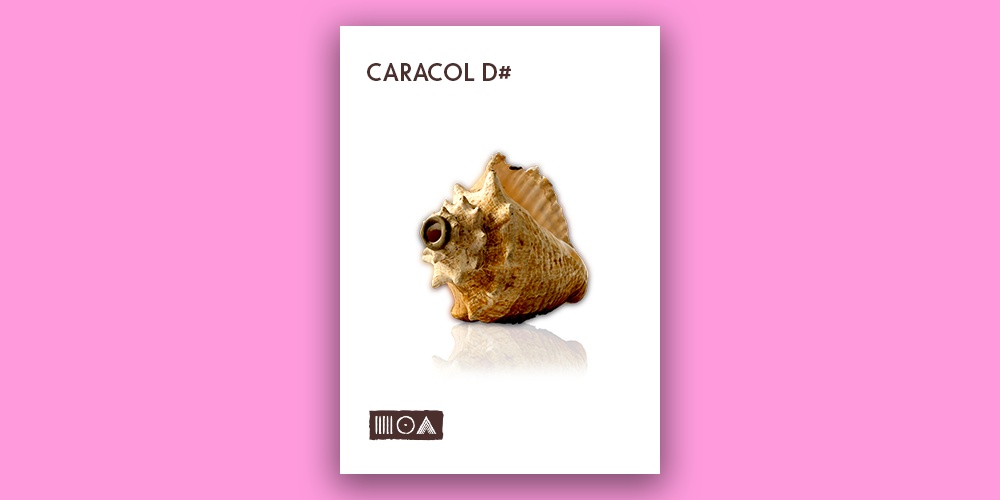 Caracol D# main media